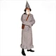 Wizard Costumes